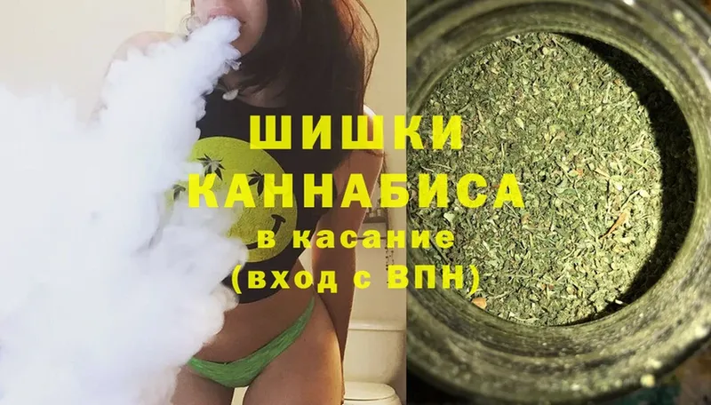 Конопля OG Kush  Тайга 